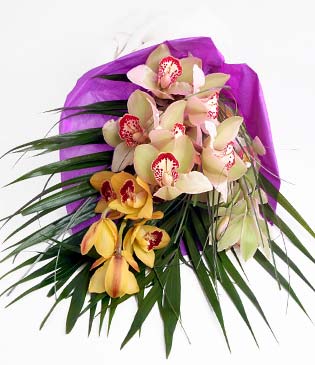  el ieki maazas  1 adet dal orkide buket halinde sunulmakta