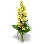  el iek online iek siparii  cam vazo ierisinde tek dal canli orkide